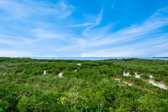 a view of a lake with a houses in back