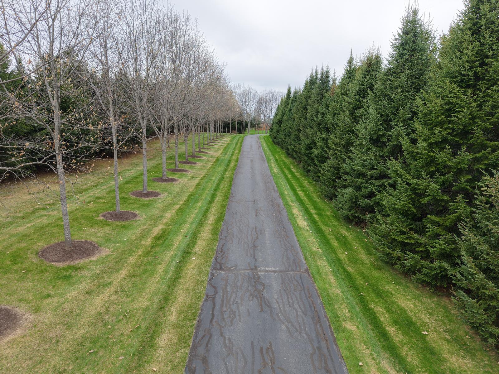 55 Niles Road Presque Isle, ME 04769 - Photo 19 of 80 Exterior