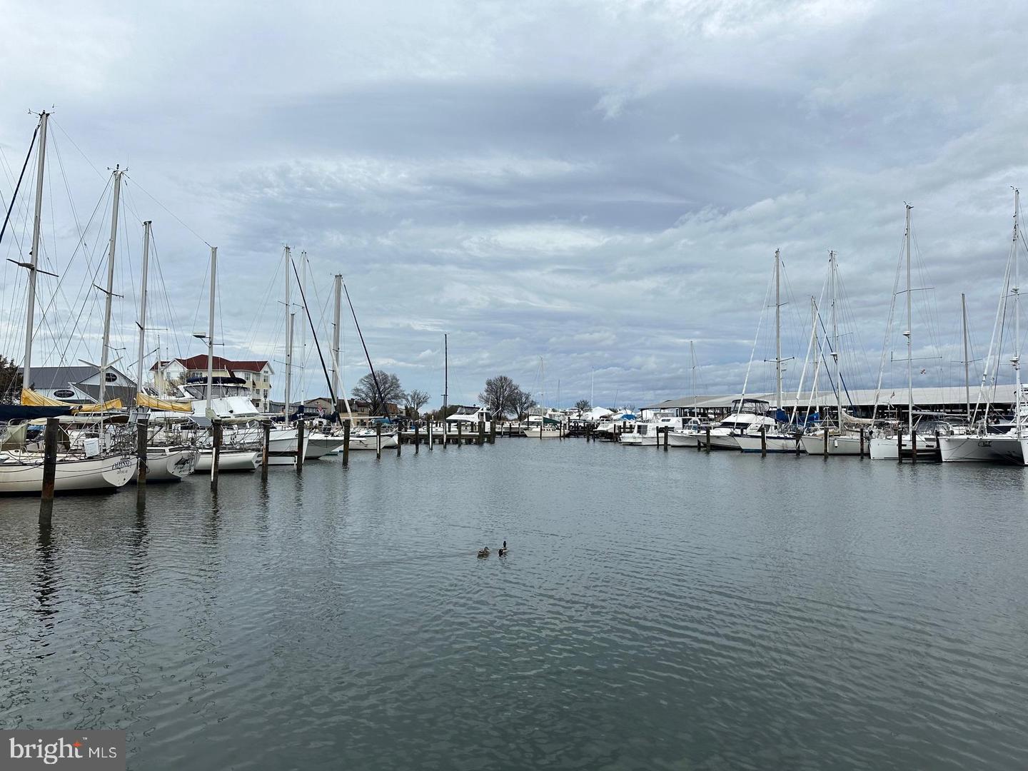 5 Piney Narrows Road Chester, MD 21619 - Photo 16 of 22 a view of ocean and boats