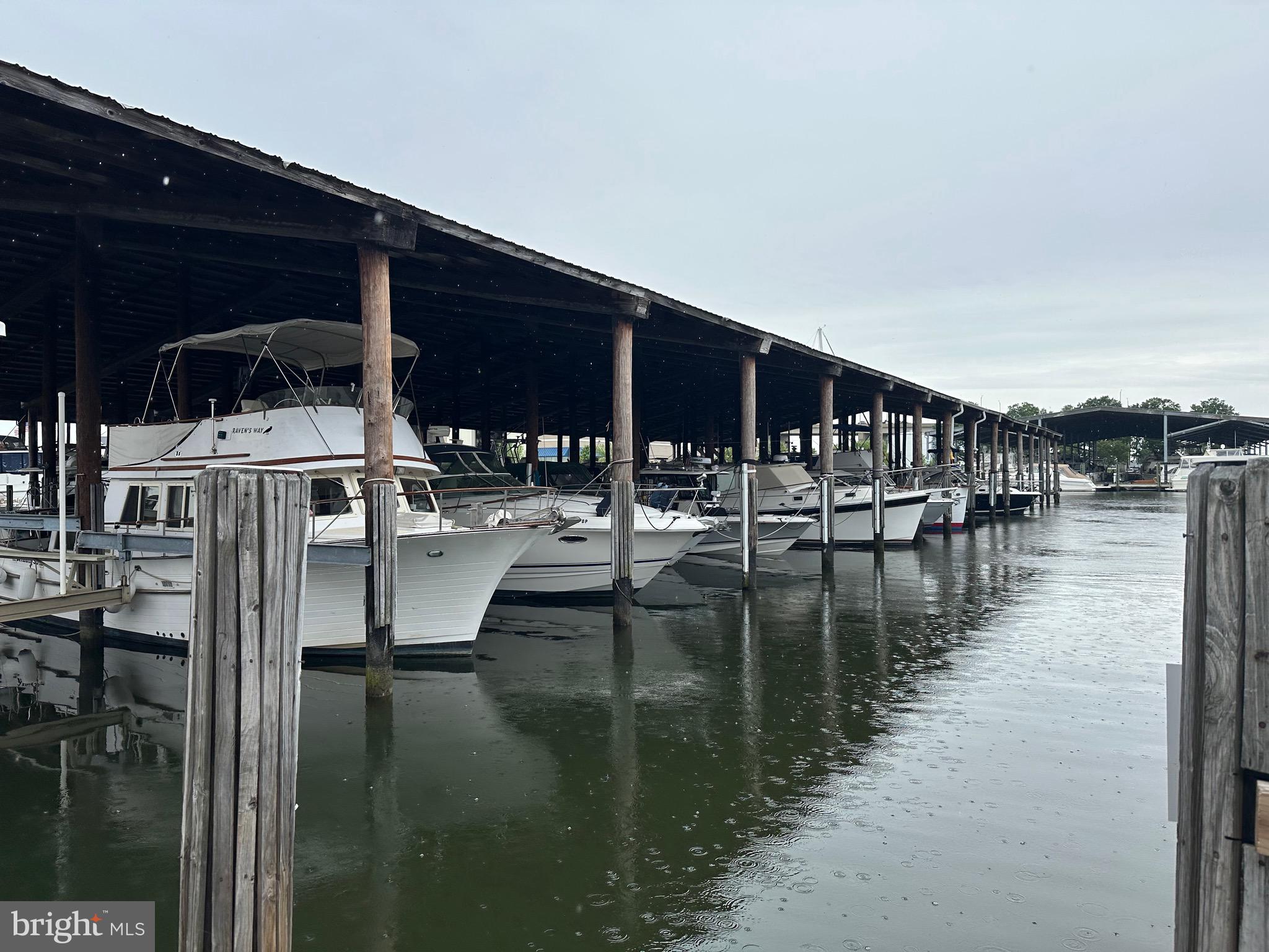 5 Piney Narrows Road Chester, MD 21619 - Photo 6 of 22