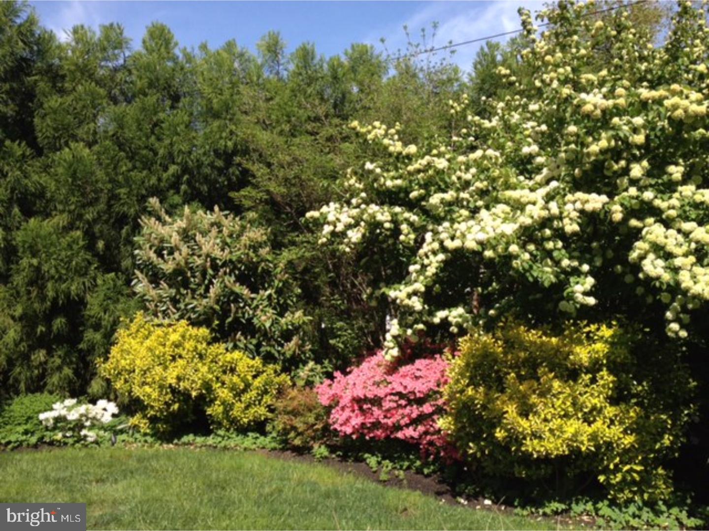 134 Edgewood Road Ardmore, PA 19003 - Photo 24 of 25 Gallery Image 24
