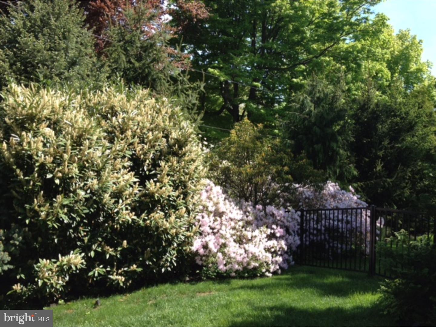 134 Edgewood Road Ardmore, PA 19003 - Photo 25 of 25 Gallery Image 25