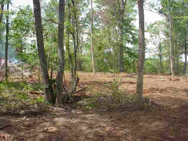 Lot 2 Berry Mill Road Greer, SC 29651 - Photo 1 of 2