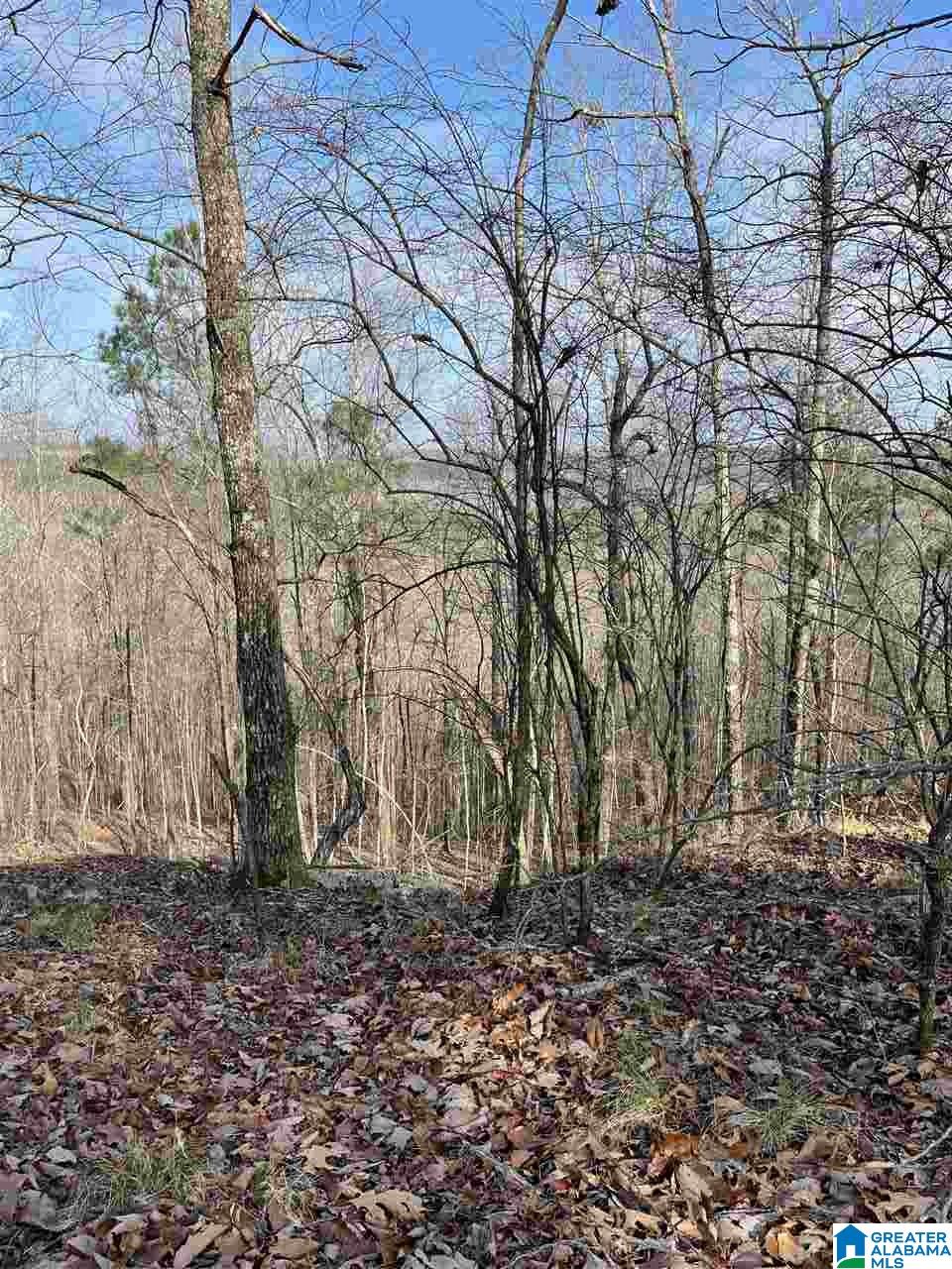 5830-2 South Shades Crest Road, Unit 2 Helena, AL 35022 - Photo 1 of 16