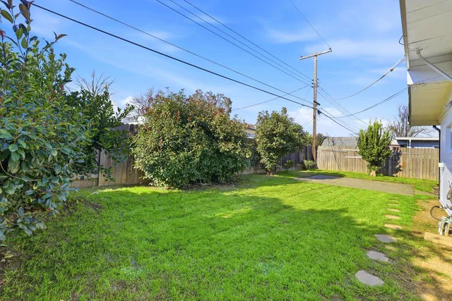 a view of a big yard with potted plants