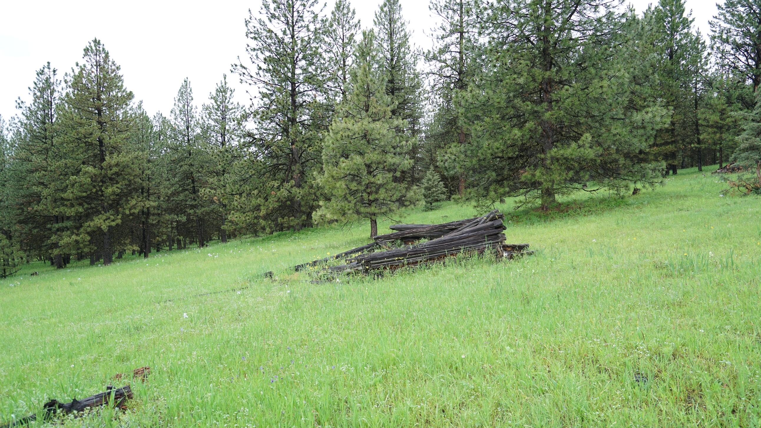 214 Forest Road Bates, OR 97817 - Photo 8 of 34 DSC02318