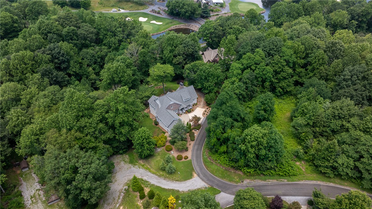 3 Soft Breeze Court Landrum, SC 29356 - Photo 47 of 49