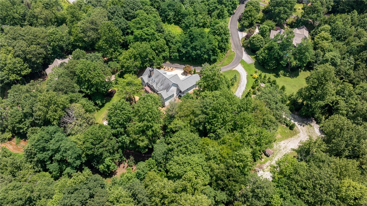 3 Soft Breeze Court Landrum, SC 29356 - Photo 48 of 49