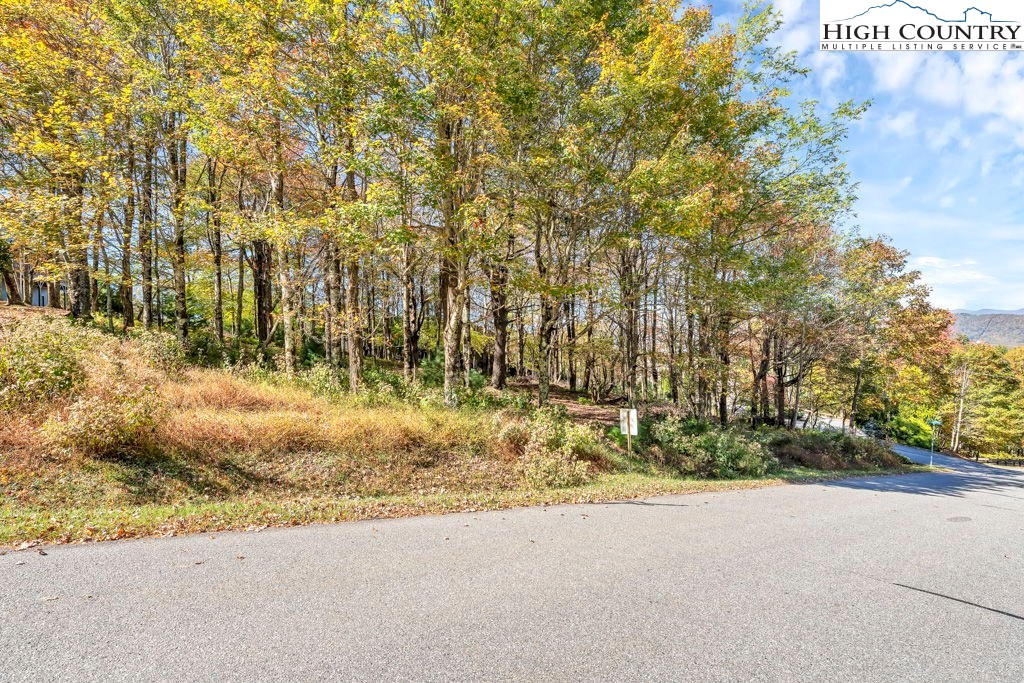 Lot 71 Summit Park Boone, NC 28607 - Photo 6 of 7 a view of outdoor space and yard