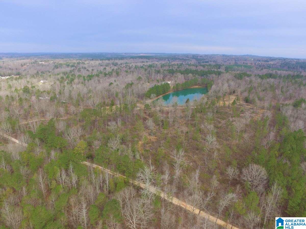 0 Melissa Robyn Road, Unit 1 Deatsville, AL 36022 - Photo 22 of 29
