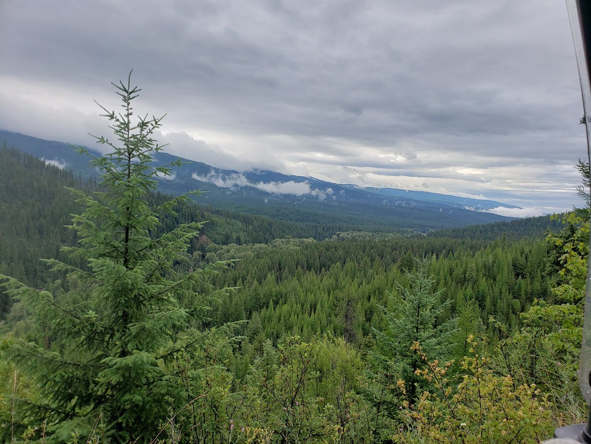 20 Nine Mile Road Huson, MT 59846 - Photo 5 of 10 Gallery Image 5