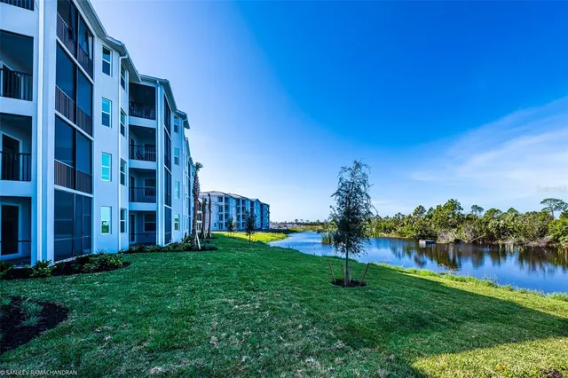 a view of a backyard with plants and a large tree