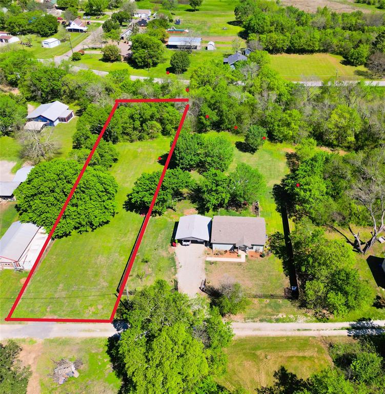 a view of a lake with a large tree