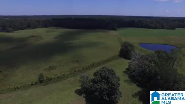 1854 Claud Fleahop Road, Unit 129 4 Eclectic, AL 36024 - Photo 33 of 50