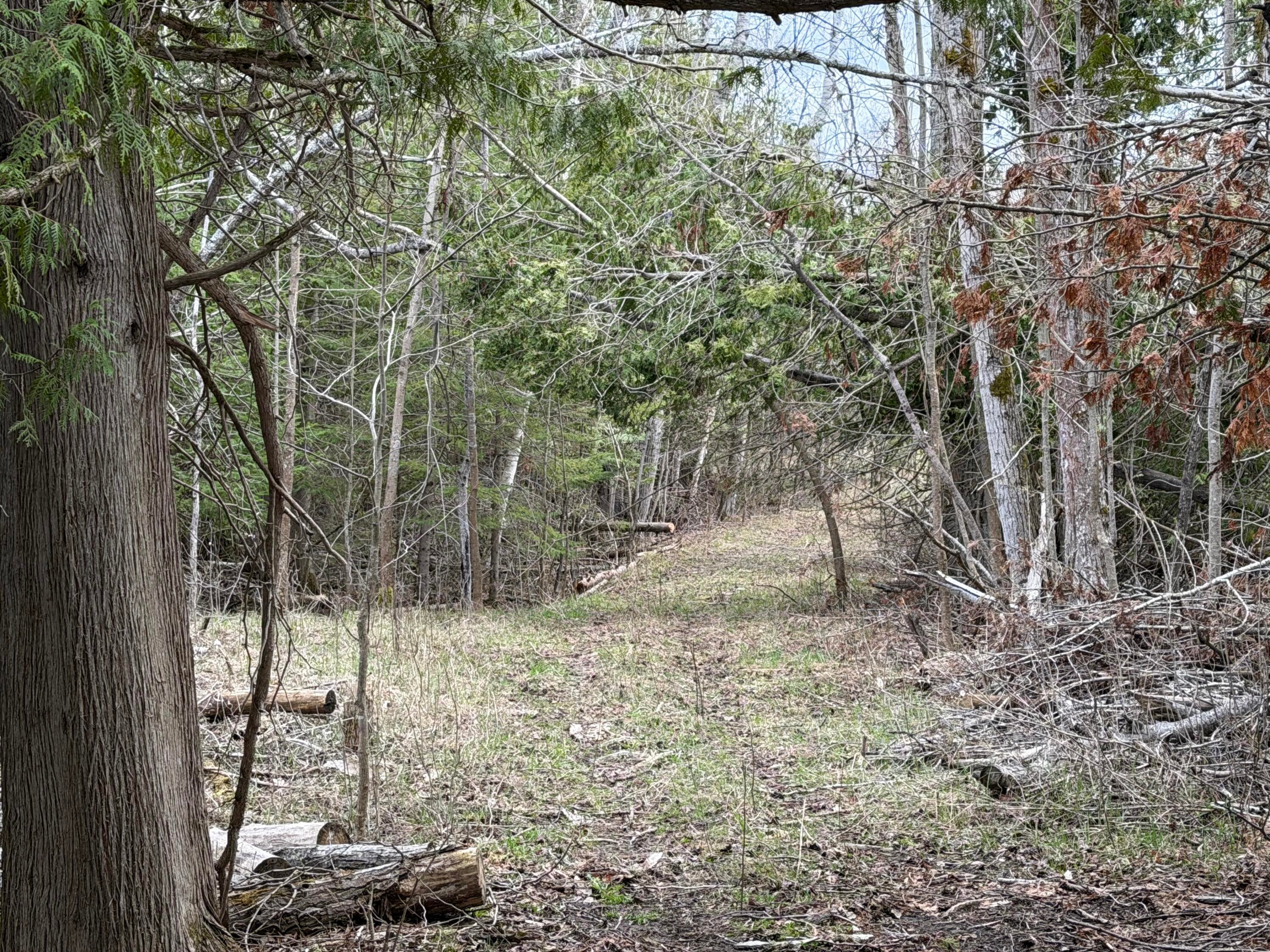 9625 Bolton Road Posen, MI 49776 - Photo 43 of 61
