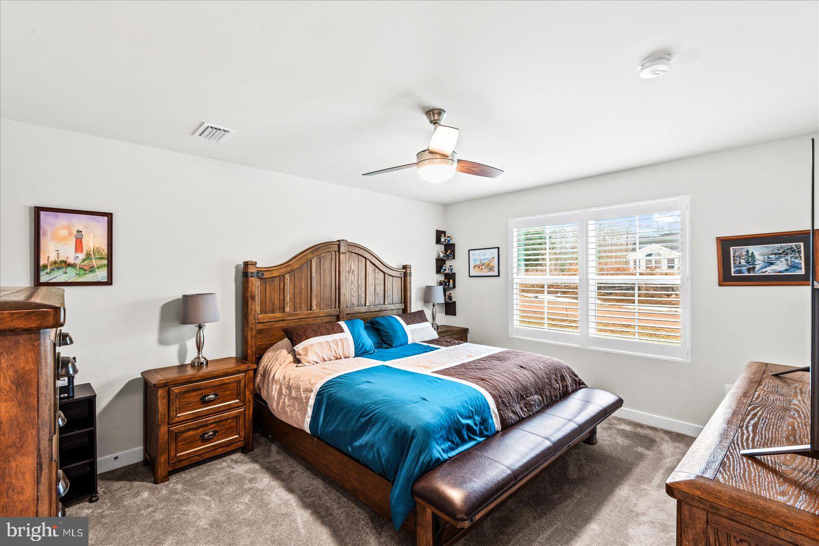 35150 Daisy Way Locust Grove, VA 22508 - Photo 15 of 34 Primary suite to backyard