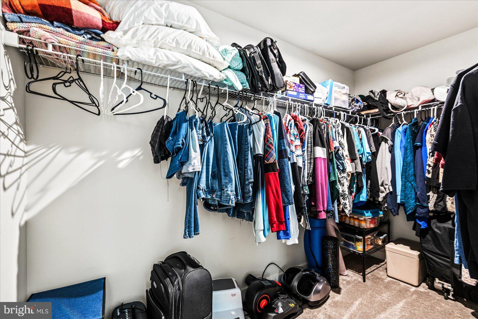 35150 Daisy Way Locust Grove, VA 22508 - Photo 20 of 34 Primary walk in closet