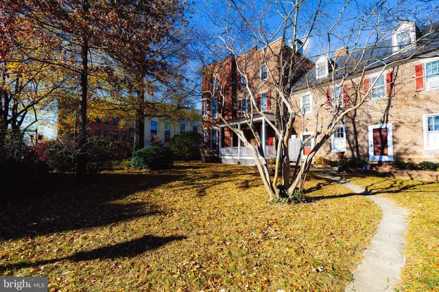 a view of a yard with an trees