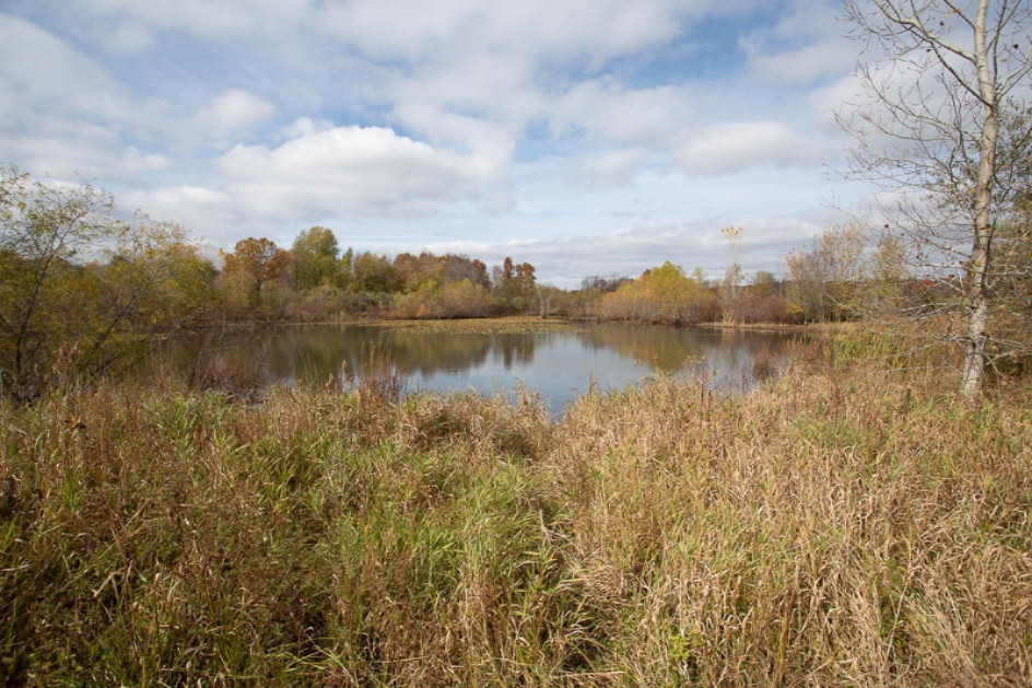6700 Reading Road East Osseo, MI 49266 - Photo 4 of 19 5R9A0100