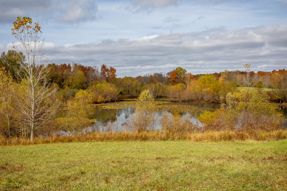 6700 Reading Road East Osseo, MI 49266 - Photo 6 of 19 5R9A0093
