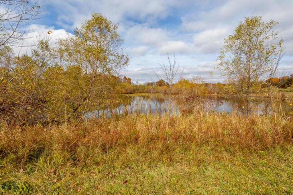 6700 Reading Road East Osseo, MI 49266 - Photo 8 of 19 5R9A0098