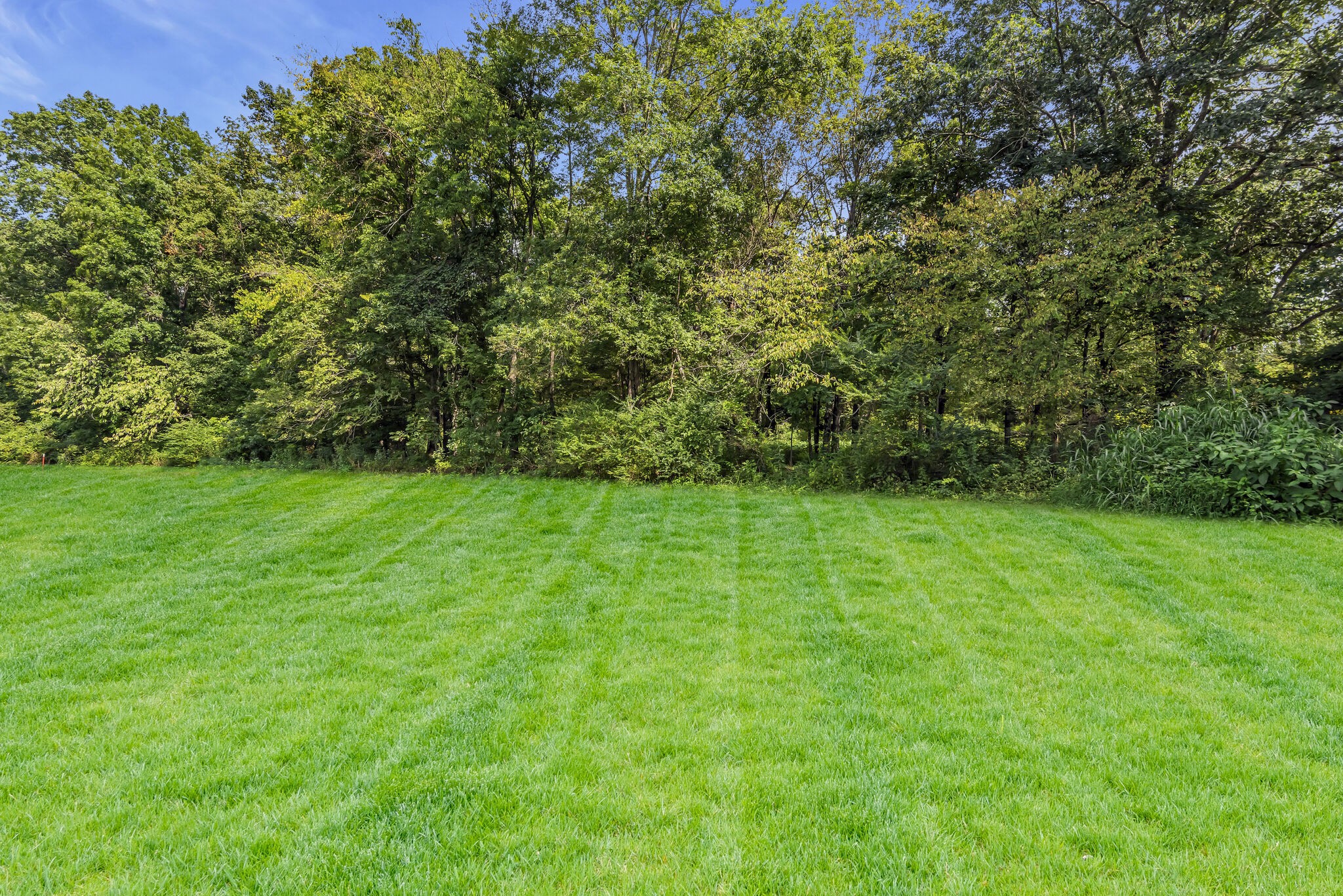 530 Sycamore Road Dickson, TN 37055 - Photo 3 of 36 Gallery Image 3