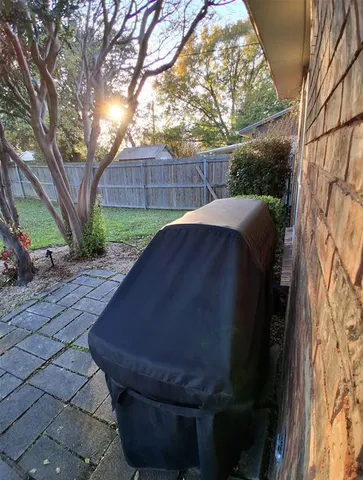 a view of a garden with a tree