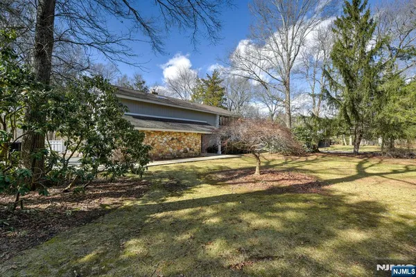a view of road with large trees