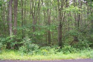B272 Panther Run Road Jim Thorpe, PA 18229 - Photo 1 of 7 wooded lot