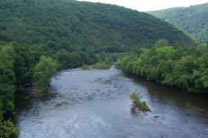 B272 Panther Run Road Jim Thorpe, PA 18229 - Photo 4 of 7 close to lehigh River