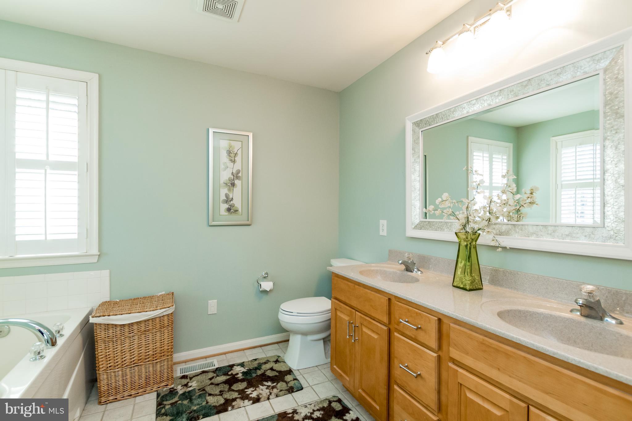 5111 Grave Run Road Manchester, MD 21102 - Photo 15 of 30 Large Master Bath
