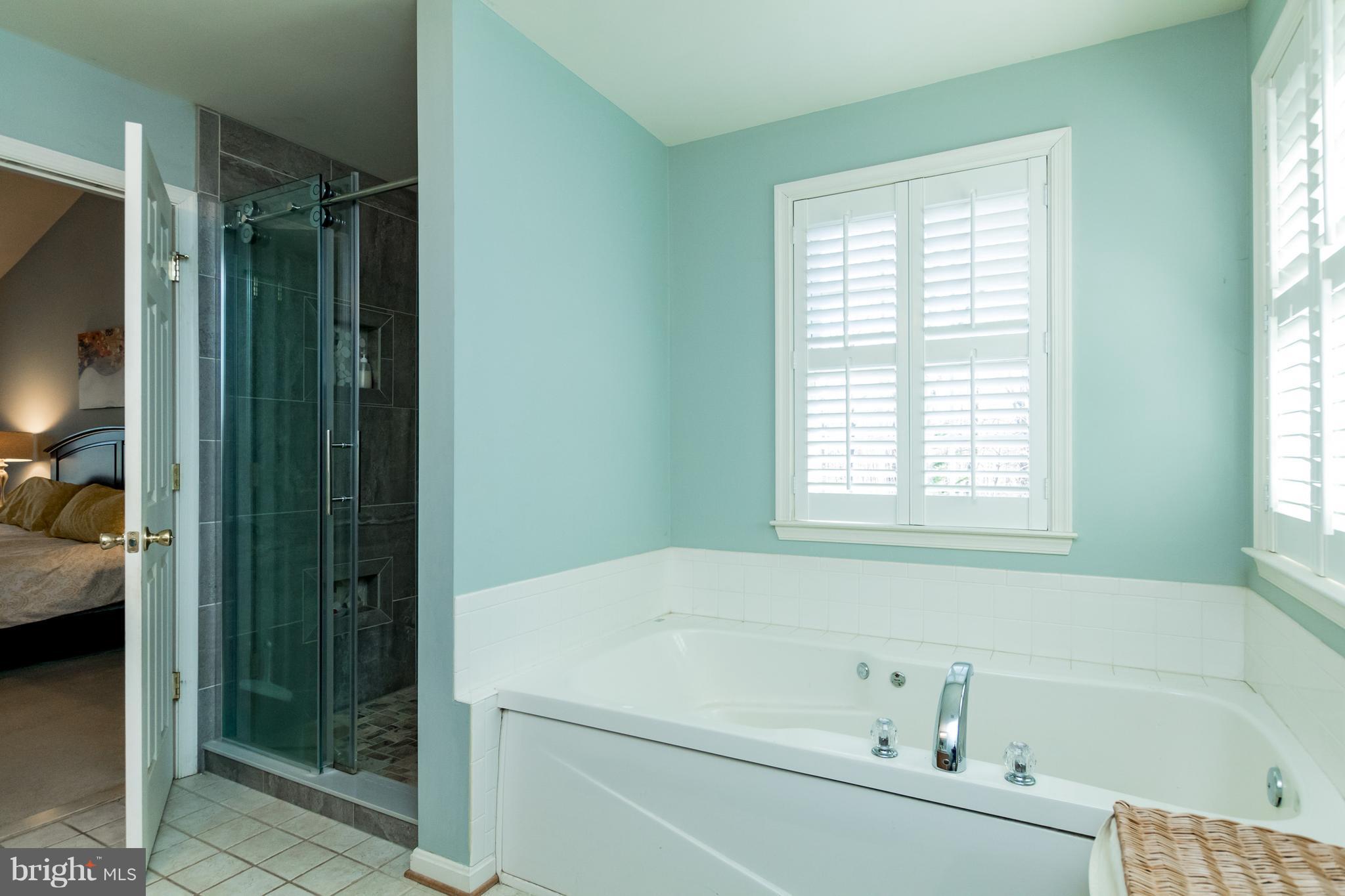 5111 Grave Run Road Manchester, MD 21102 - Photo 16 of 30 There is a deep, jetted tub and separate shower.