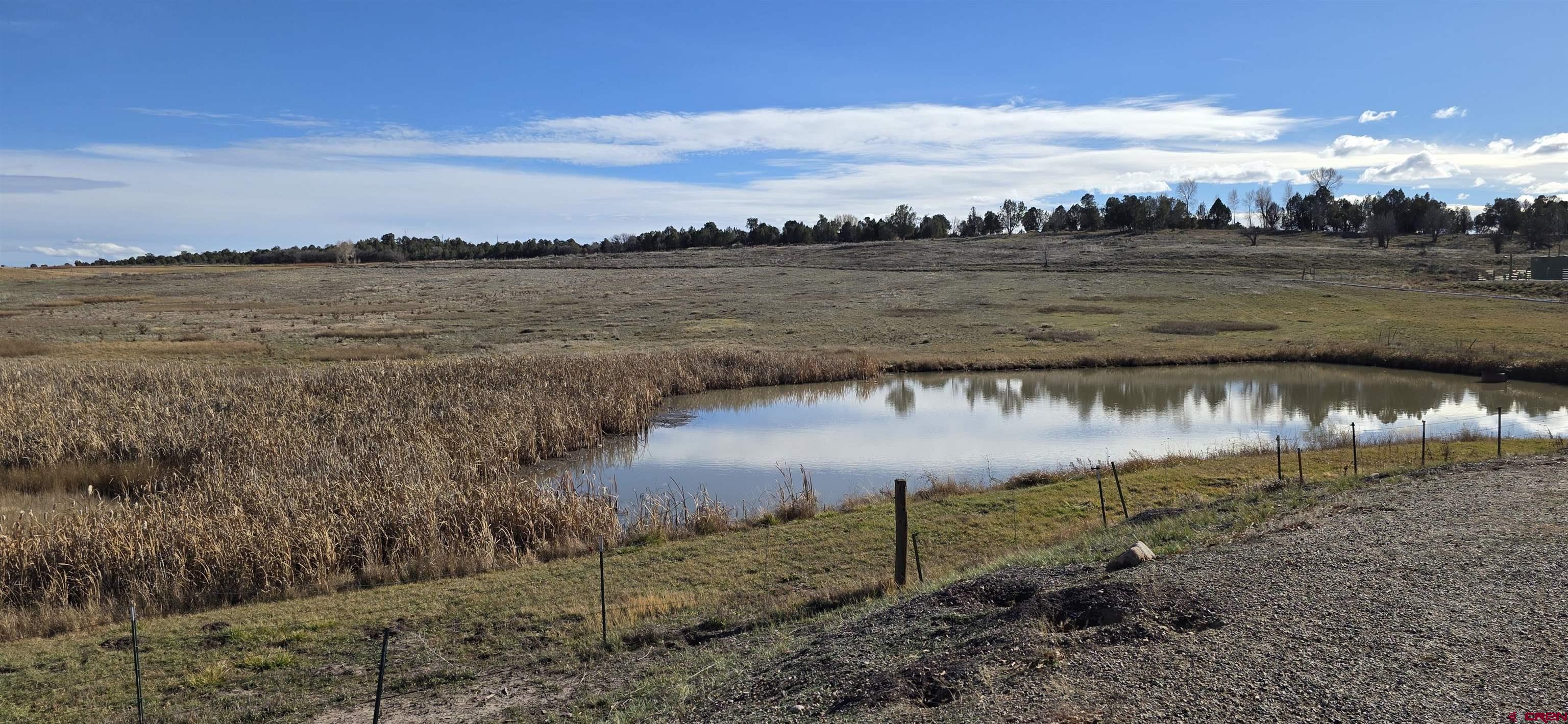 8257 Highway 172 Ignacio, CO 81137 - Photo 27 of 34 a view of a lake from a yard