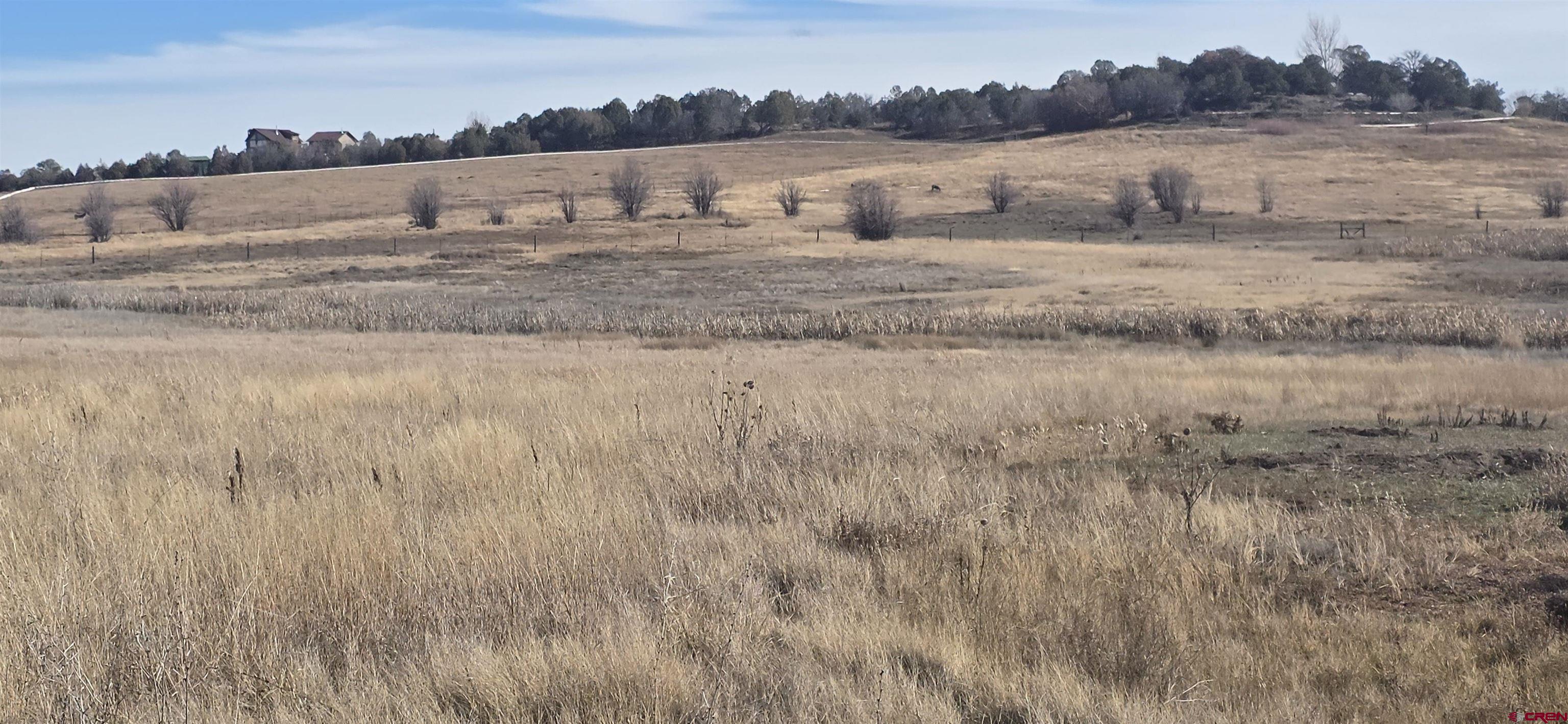 8257 Highway 172 Ignacio, CO 81137 - Photo 7 of 34 a view of a lake view