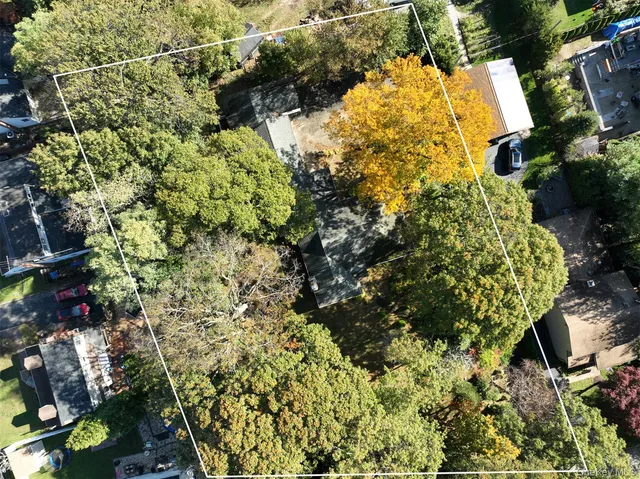 a backyard of a house with plants and large tree
