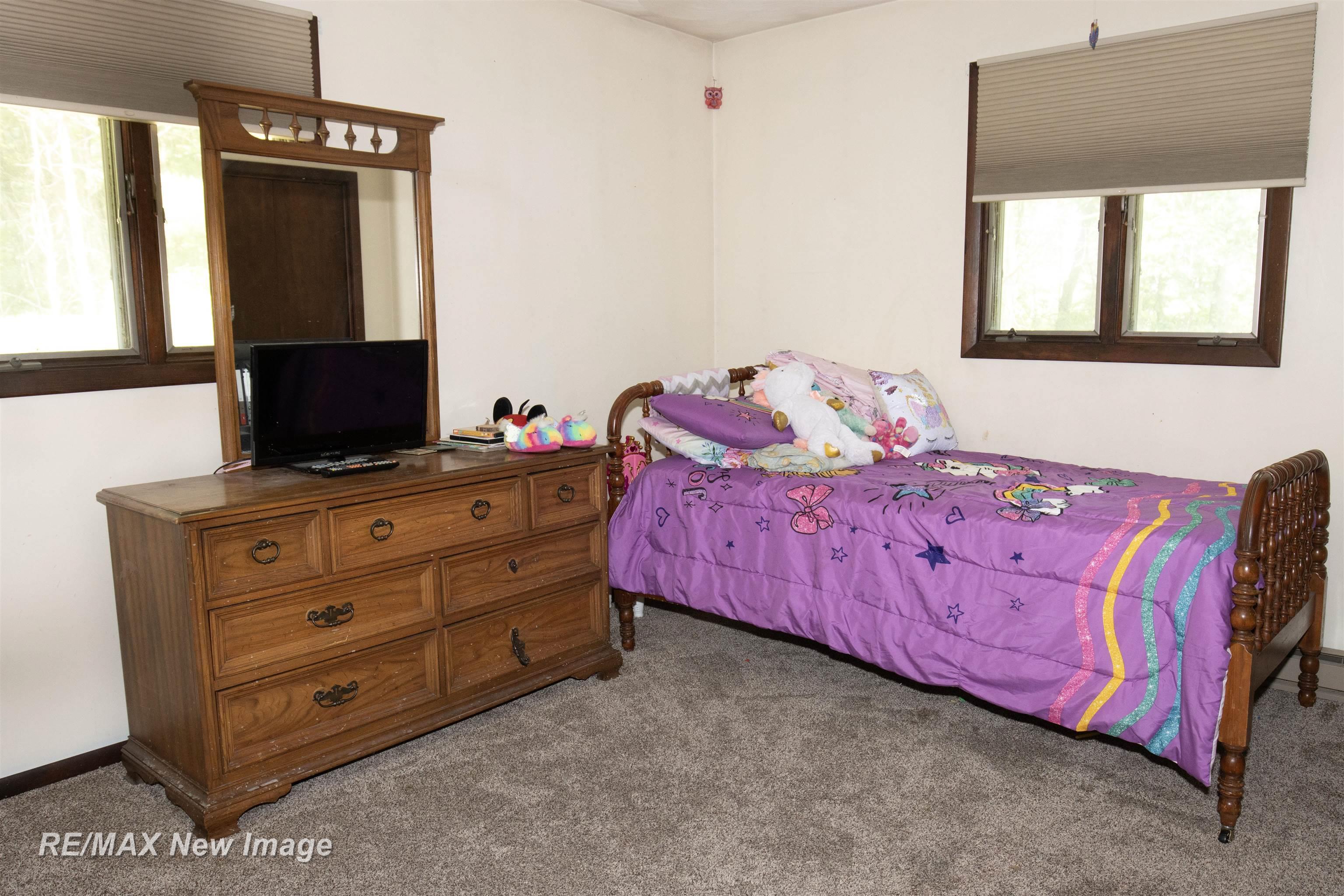 12232 Raucholz Road Chesaning, MI 48616 - Photo 9 of 17