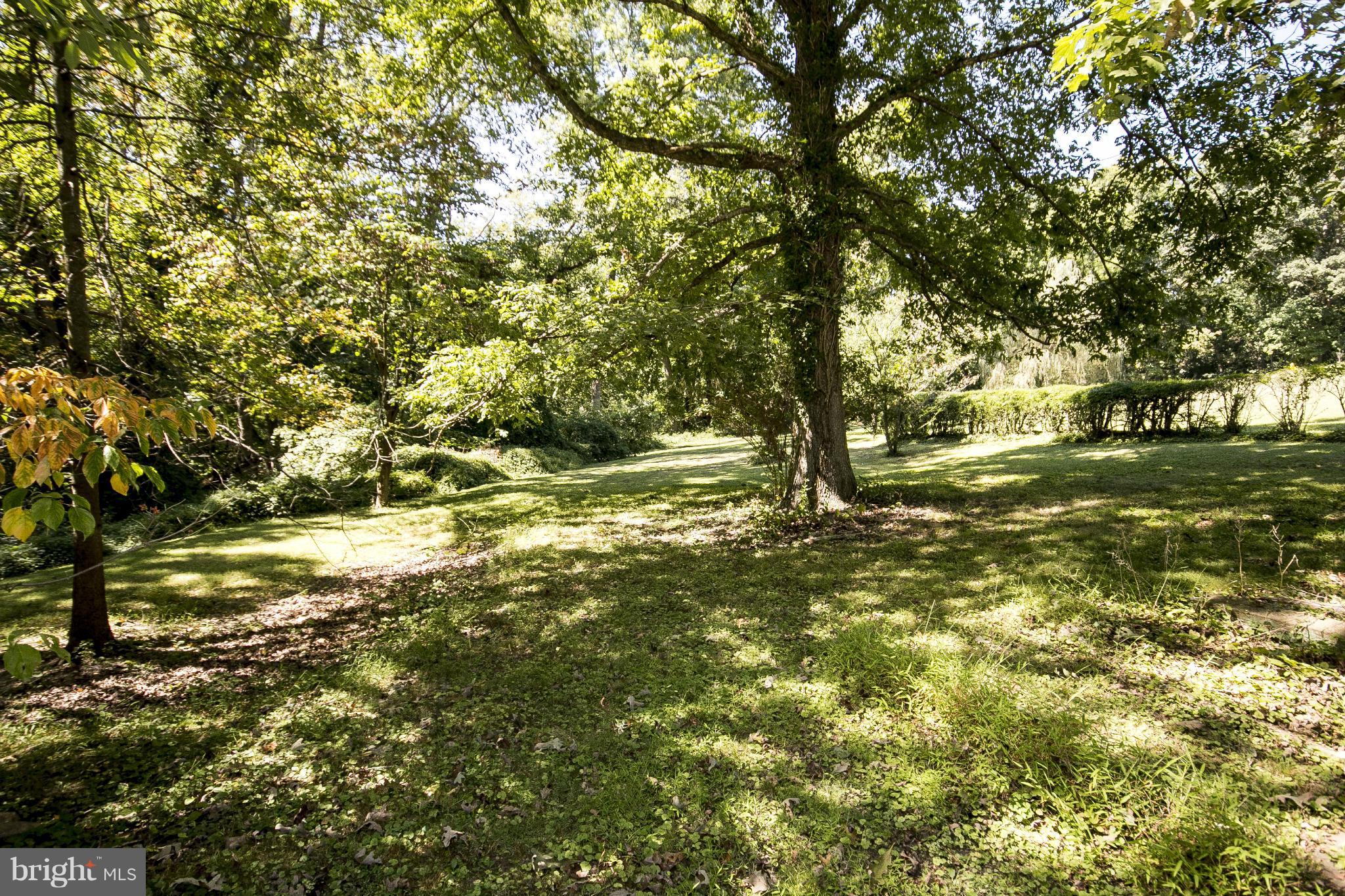 1554 South Rolling Road Baltimore, MD 21227 - Photo 21 of 22 a view of outdoor space with yard and trees all around