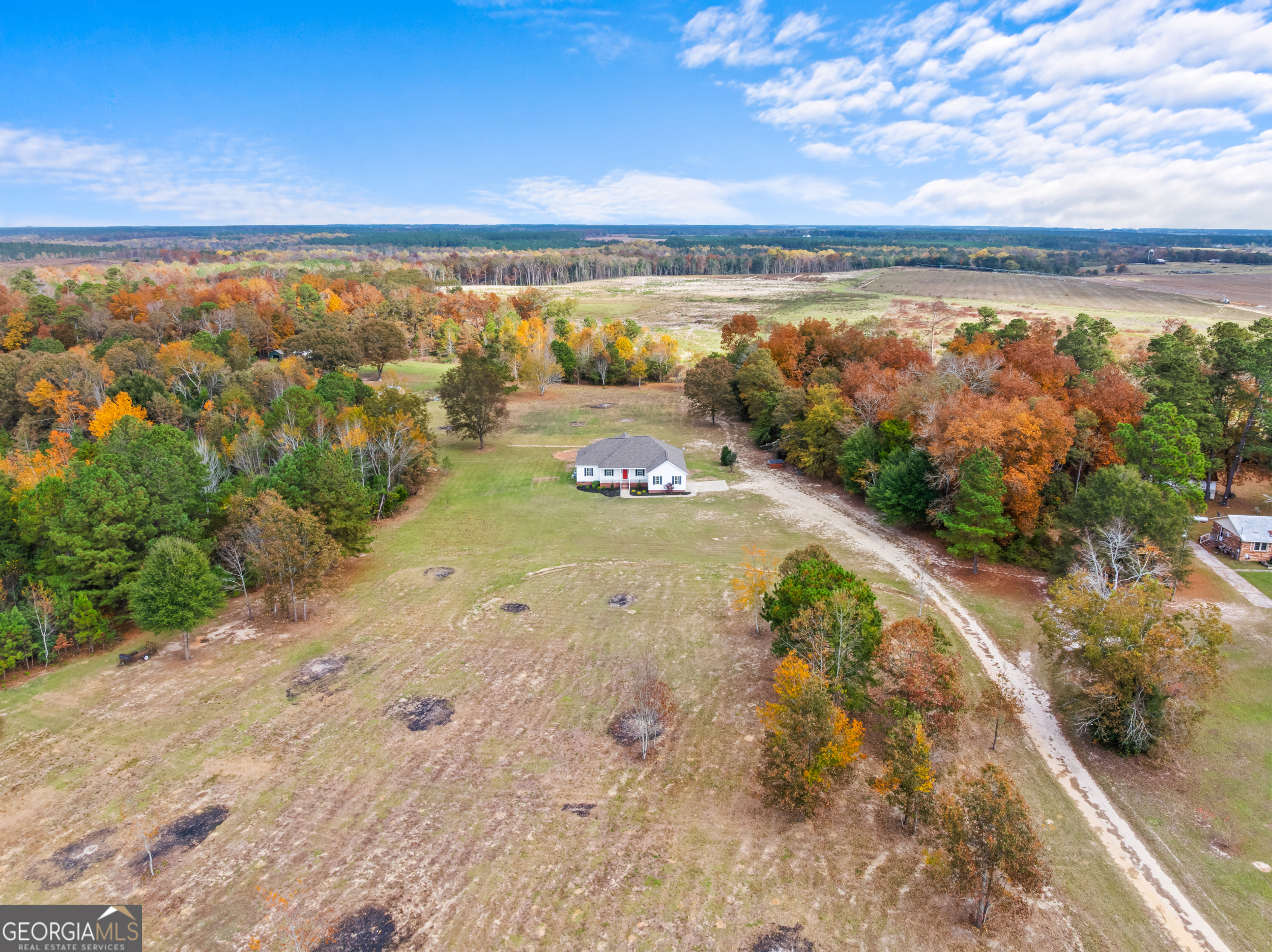 10132 Clarks Mill Road Avera, GA 30803 - Photo 3 of 28 Black dots in yard are where brush piles were burned.