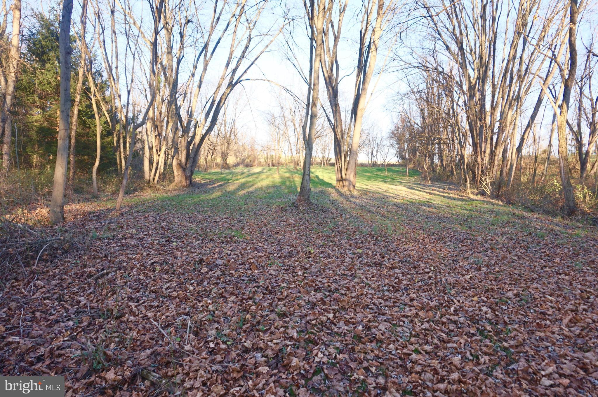1485 Camp Hebron Road Halifax, PA 17032 - Photo 48 of 56 Gallery Image 48