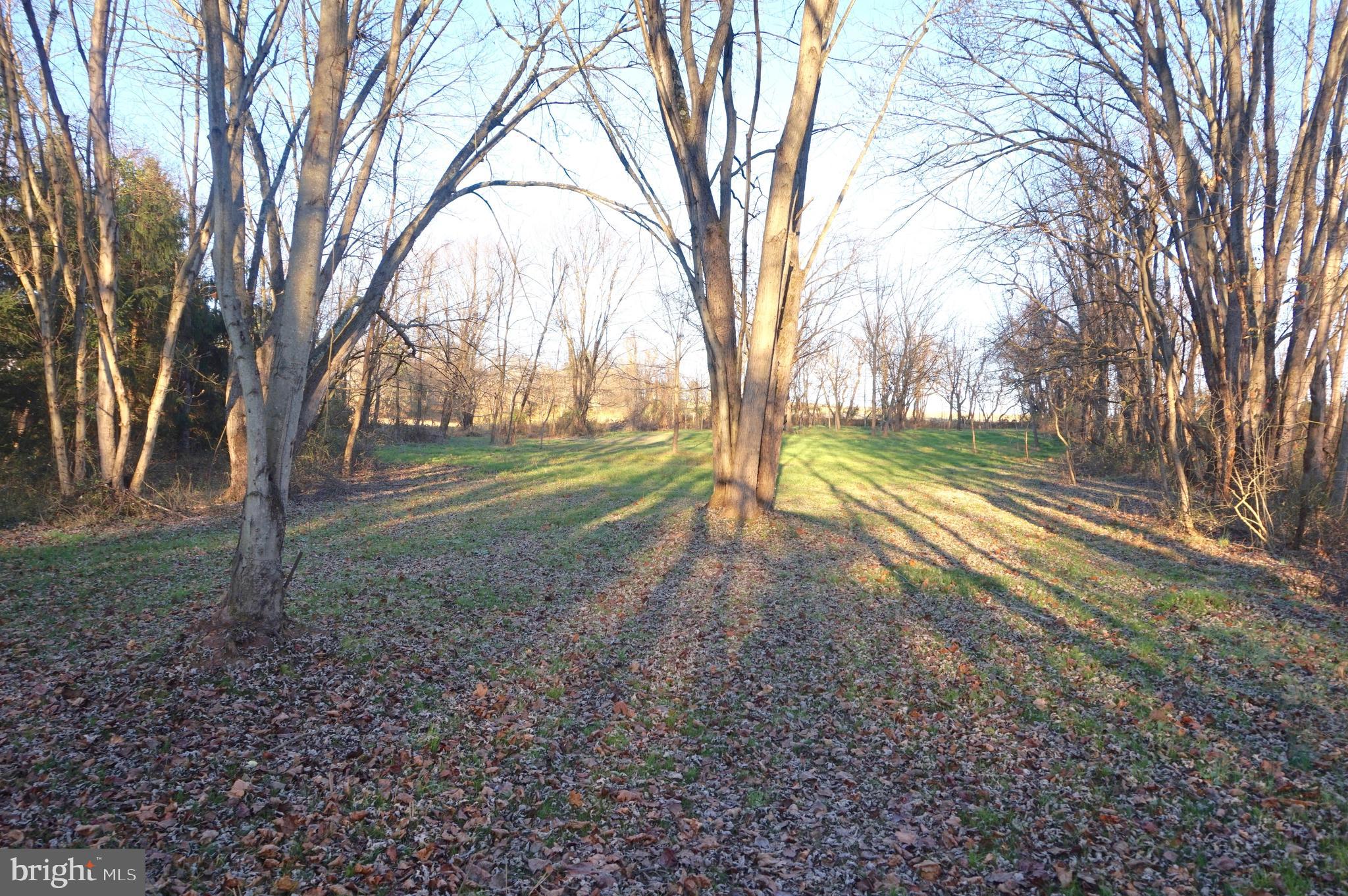 1485 Camp Hebron Road Halifax, PA 17032 - Photo 49 of 56 Gallery Image 49