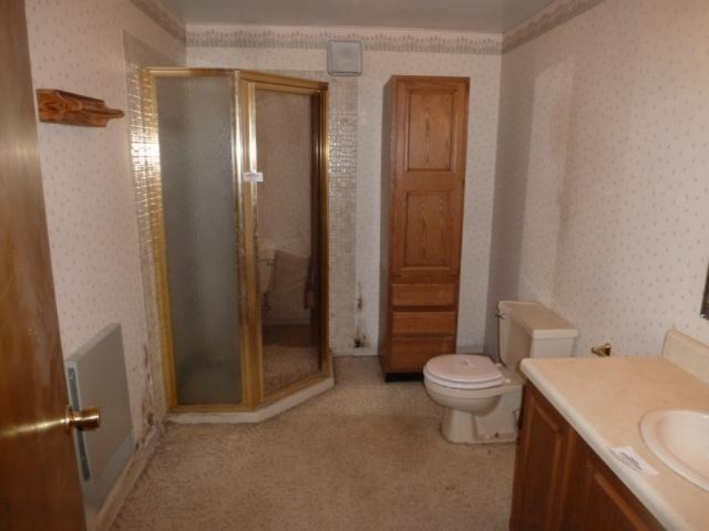 1719 East Tyler Road Hart, MI 49420 - Photo 13 of 16 14-Bathroom 2 - Full- Lower Level