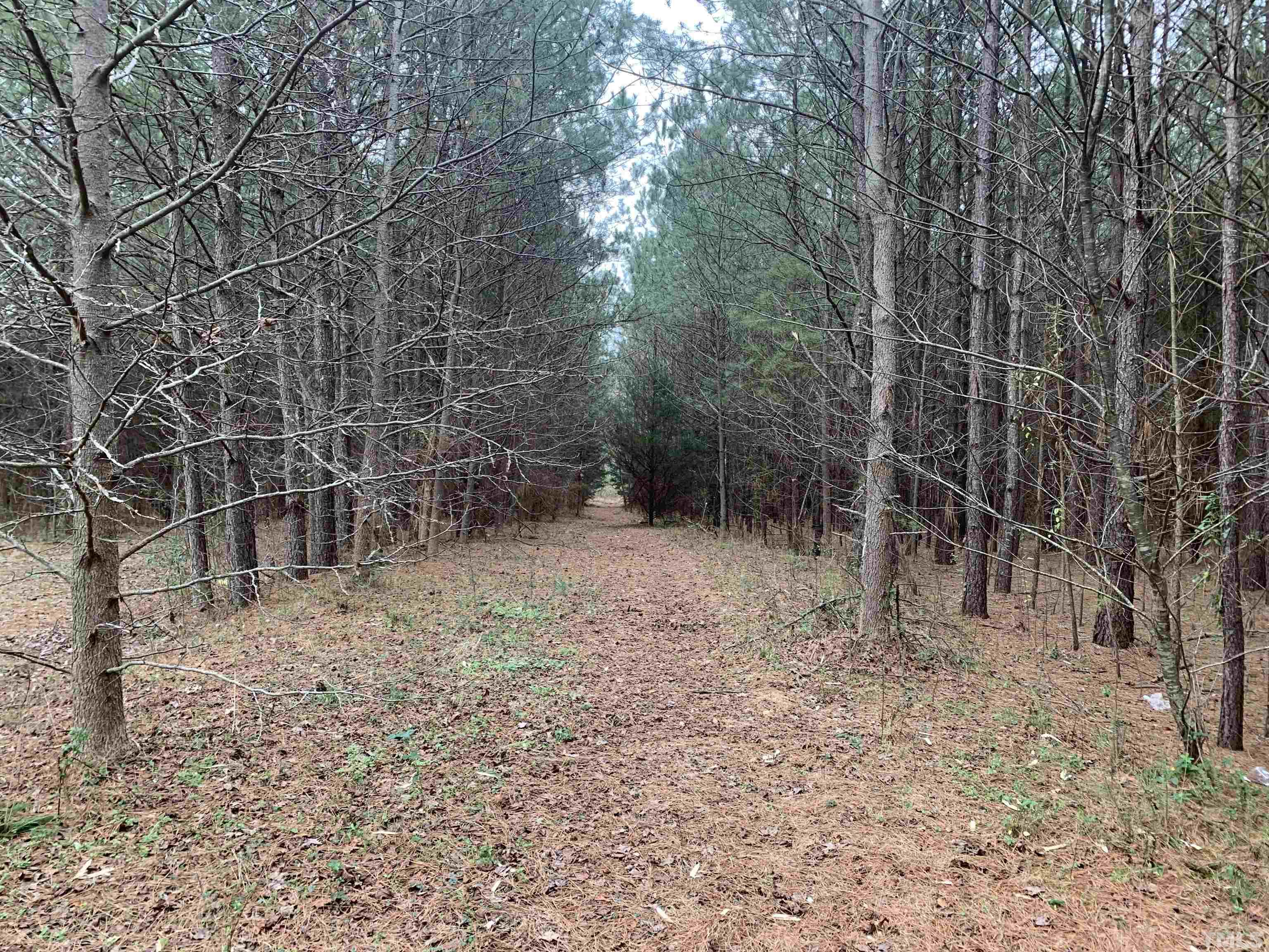 581 Highway 581 Spring Hope, NC 27882 - Photo 1 of 3 a backyard of a house with lots of green space and a lake view