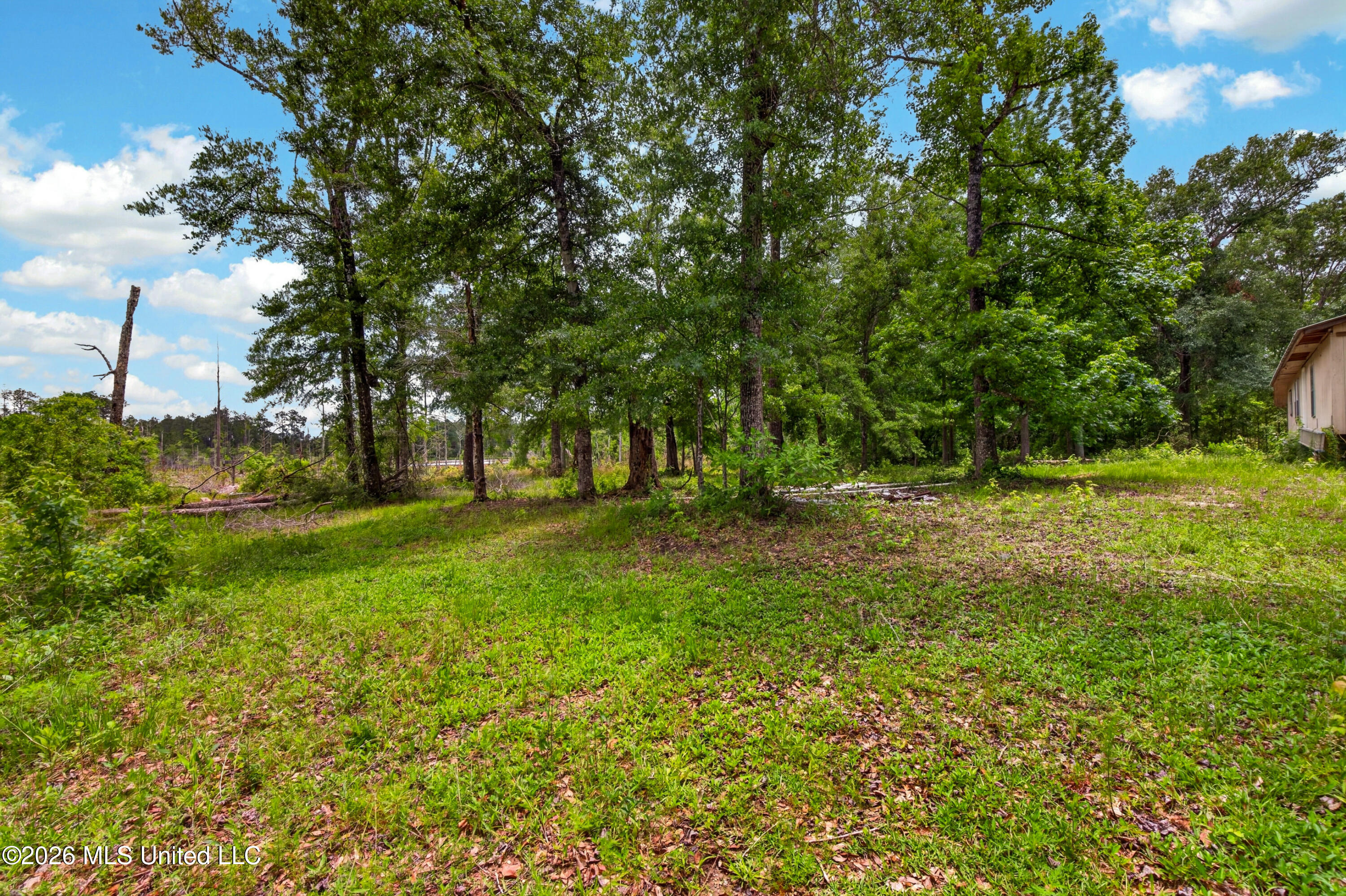 17990 Cuevas Road Kiln, MS 39556 - Photo 47 of 76 17990CuevasRd.-23