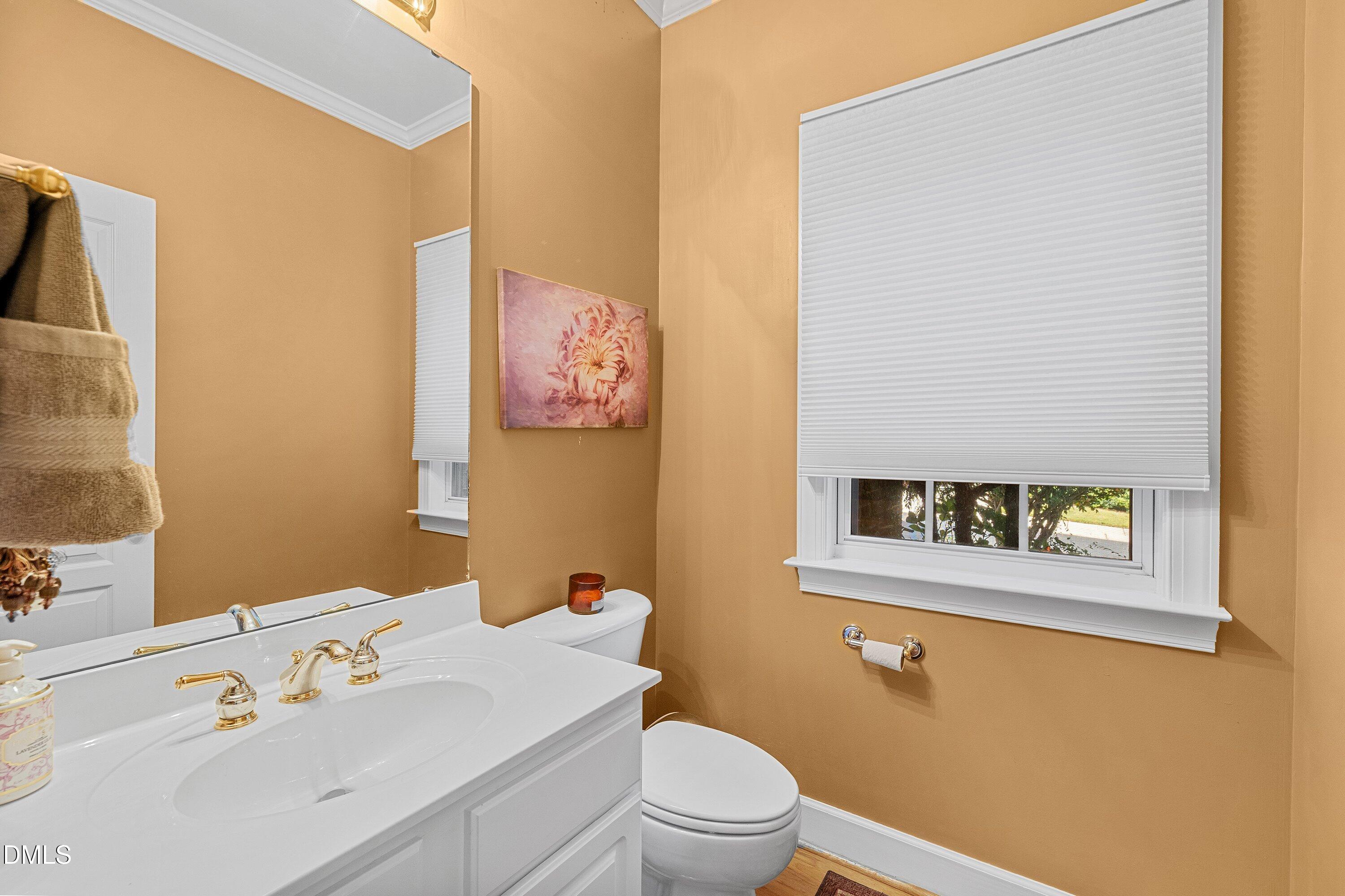 3613 Lion Ridge Court Raleigh, NC 27612 - Photo 6 of 40 a bathroom with a sink mirror and toilet