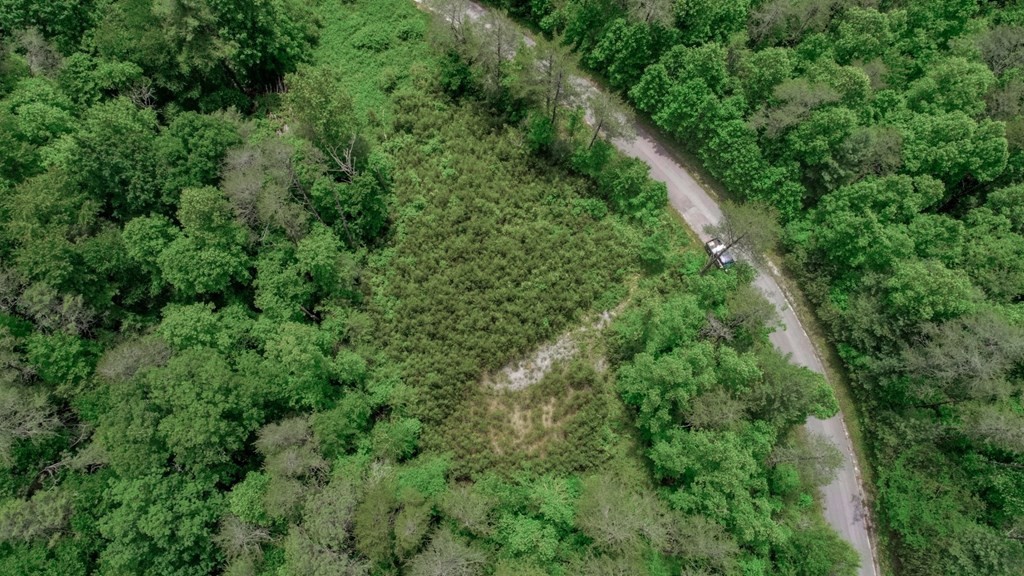 2930 Raven Branch Road Del Rio, TN 37727 - Photo 10 of 22 Gallery Image 10