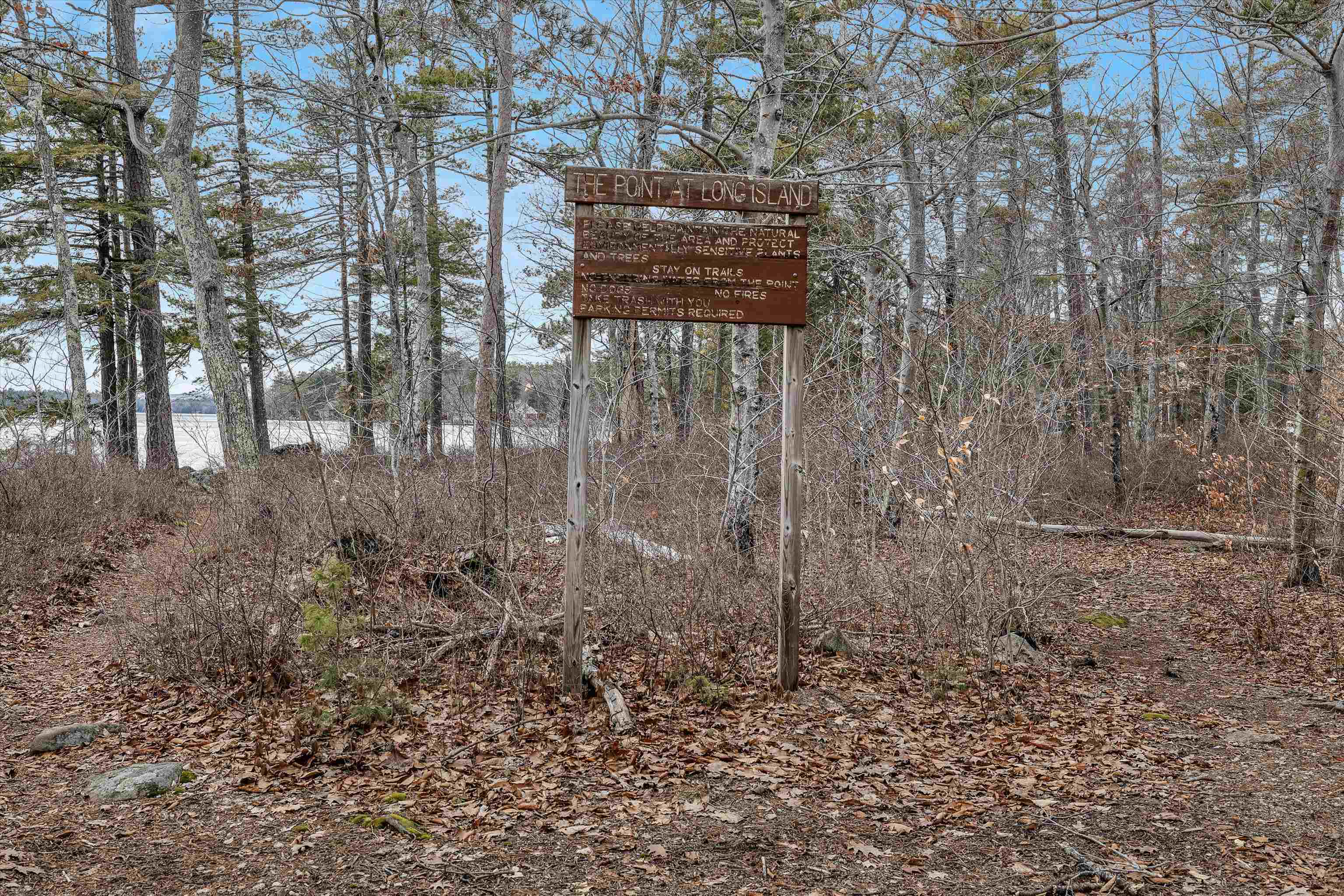 3 Tanglewood Shores Road Moultonborough, NH 03254 - Photo 26 of 33