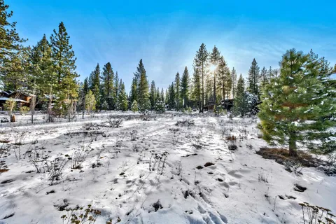 a pathway with a yard