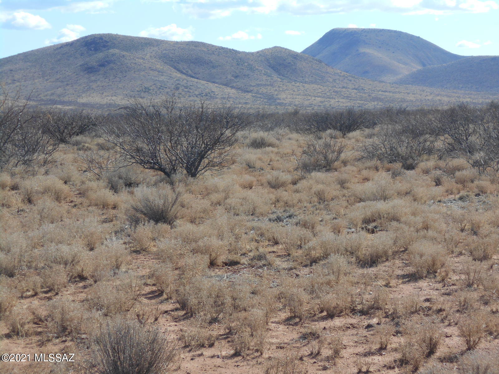 Grimmett Road Pearce, AZ 85625 - Photo 4 of 41 Gallery Image 4
