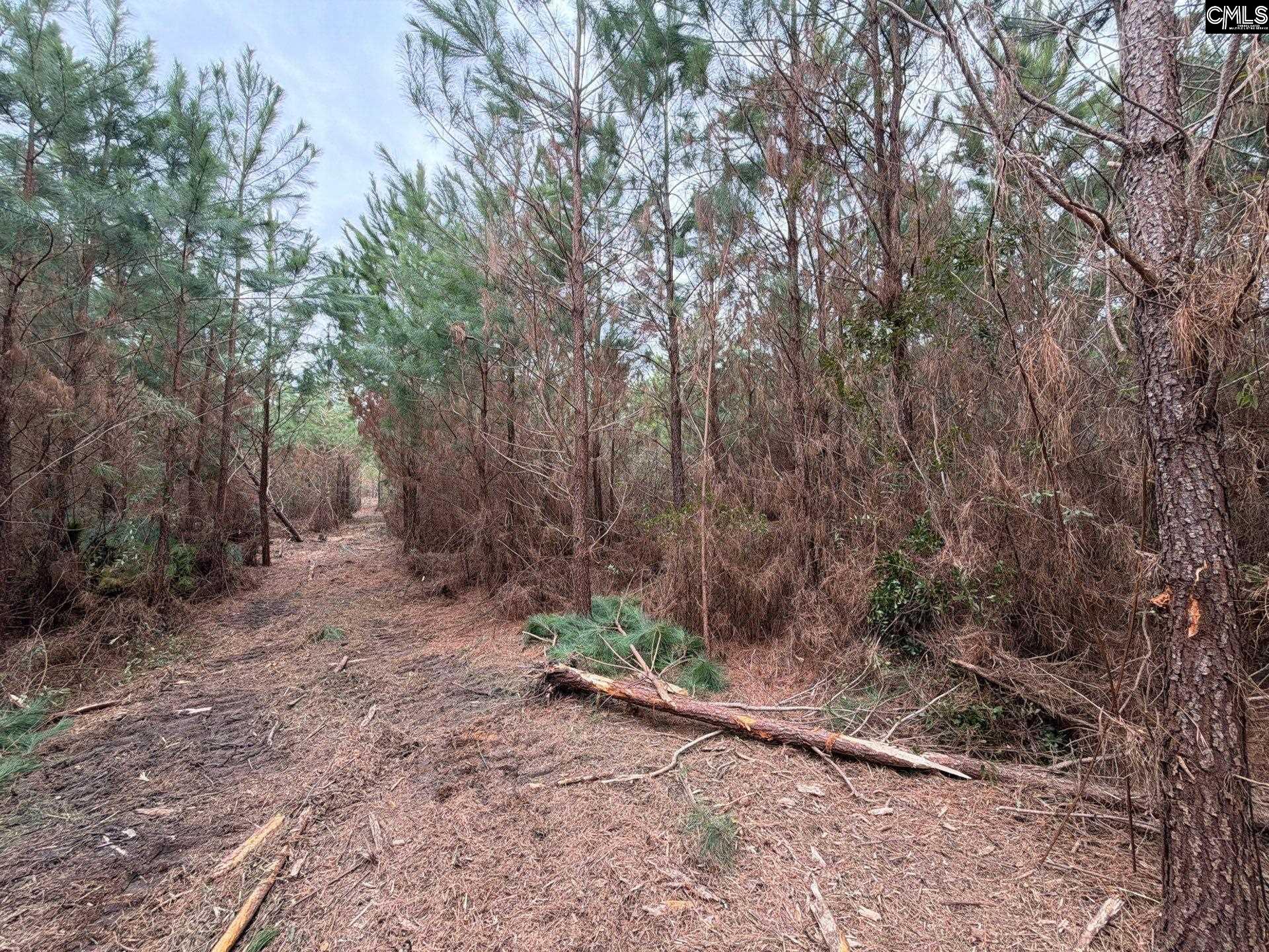 4 Jc Barefoot Road, Unit BFF II 4 Patrick, SC 29584 - Photo 23 of 32