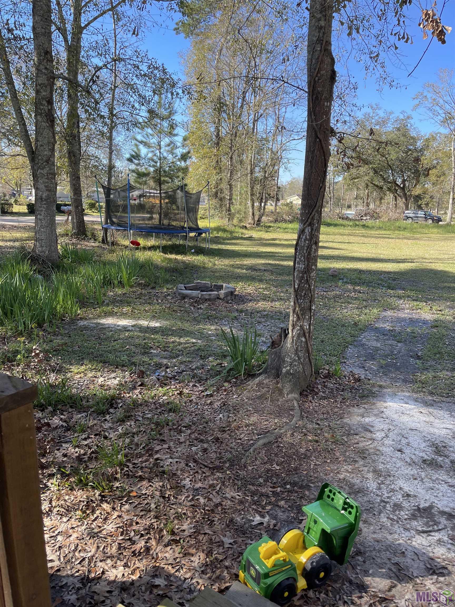 19639 Perrilloux Road Livingston, LA 70754 - Photo 4 of 14 Back Yard